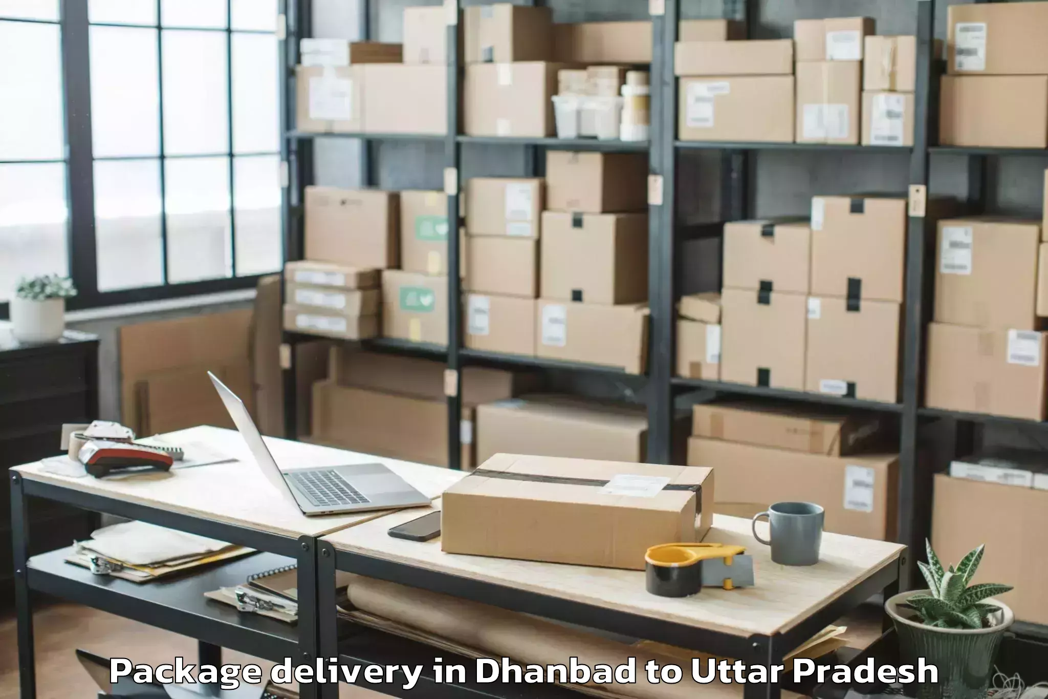 Trusted Dhanbad to Dalmau Package Delivery